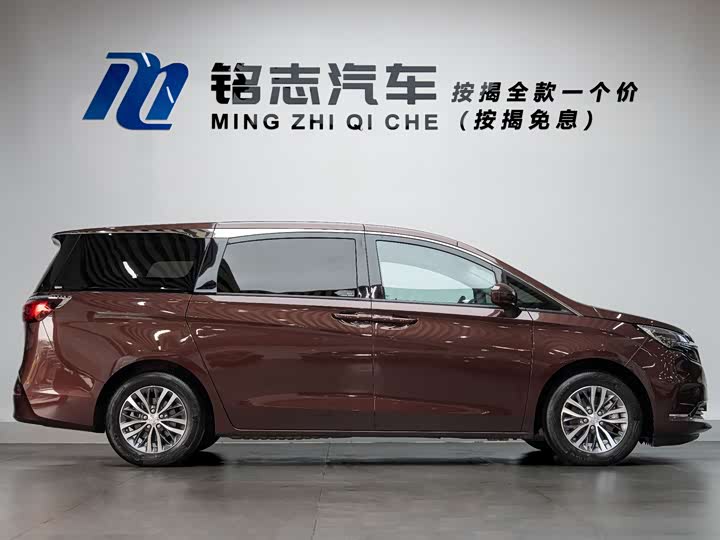 Фото 7 - Buick GL8 ES