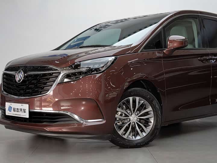 Фото 8 - Buick GL8 ES