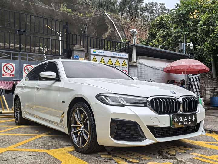 Фото 2 - BMW 5 Series Hybrid