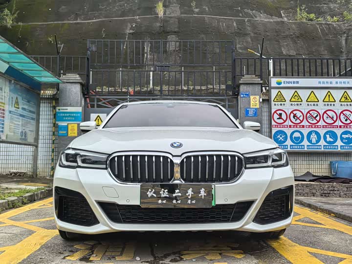 Фото 3 - BMW 5 Series Hybrid