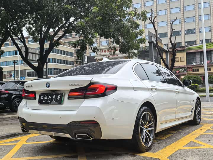Фото 5 - BMW 5 Series Hybrid
