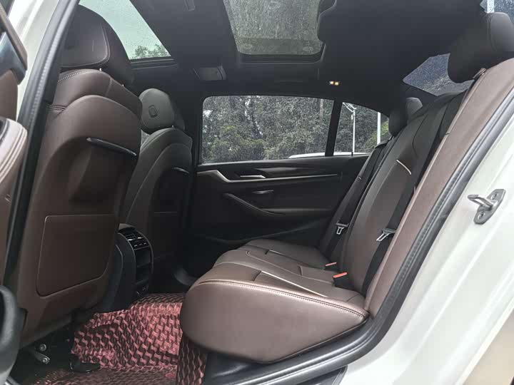 Фото 9 - BMW 5 Series Hybrid