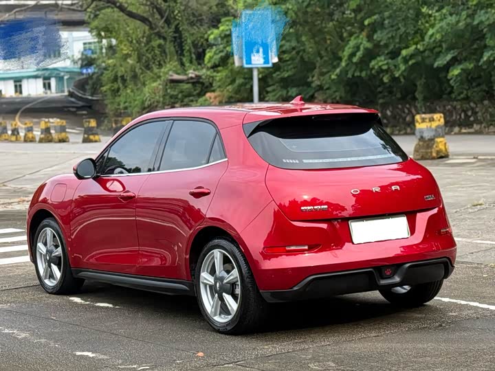 Фото 3 - Ora Good Cat (03)