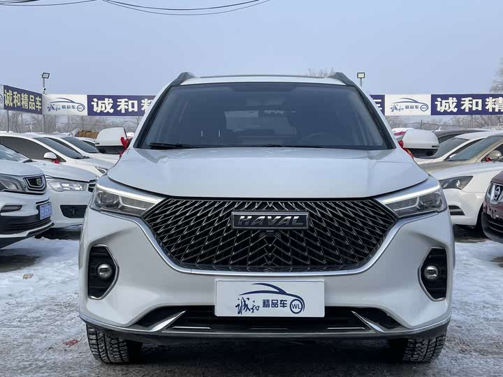 Фото 2 - Haval M6