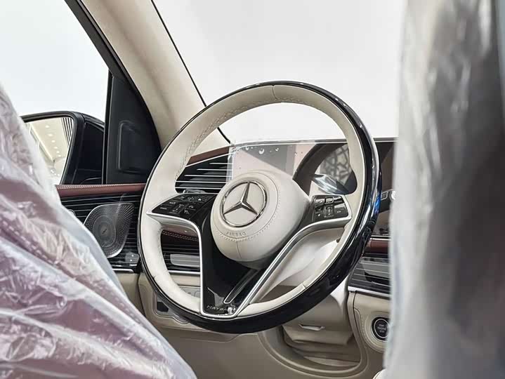 Фото 11 - Mercedes-Benz Maybach GLS