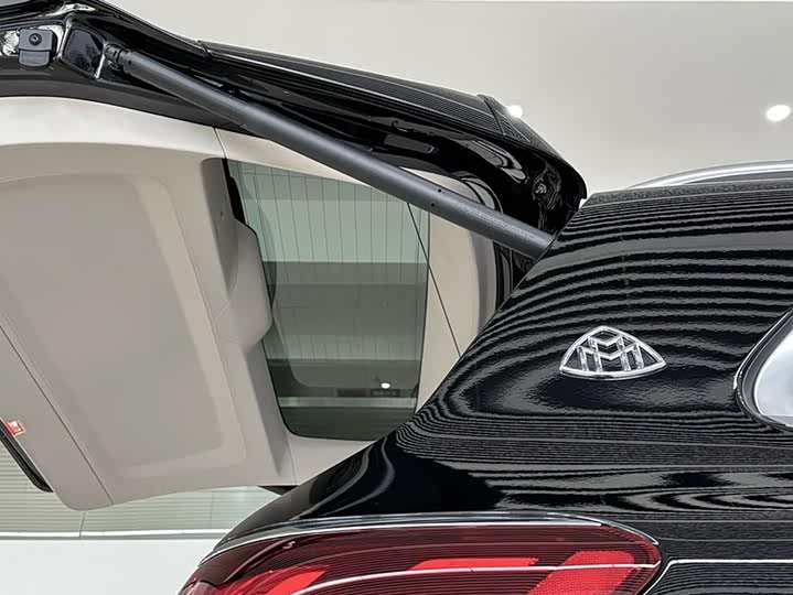 Фото 18 - Mercedes-Benz Maybach GLS