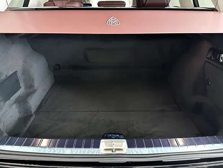 Фото 20 - Mercedes-Benz Maybach GLS