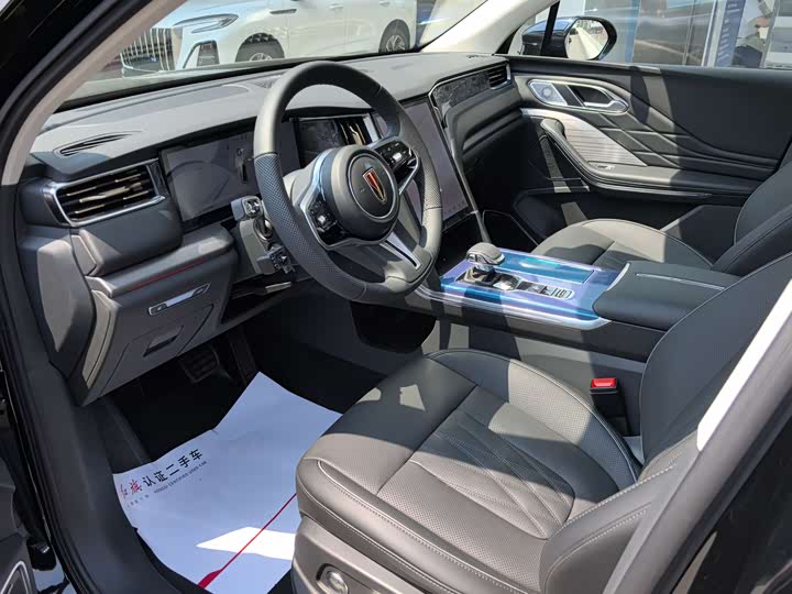 Фото 6 - Hongqi HS7 Hybrid