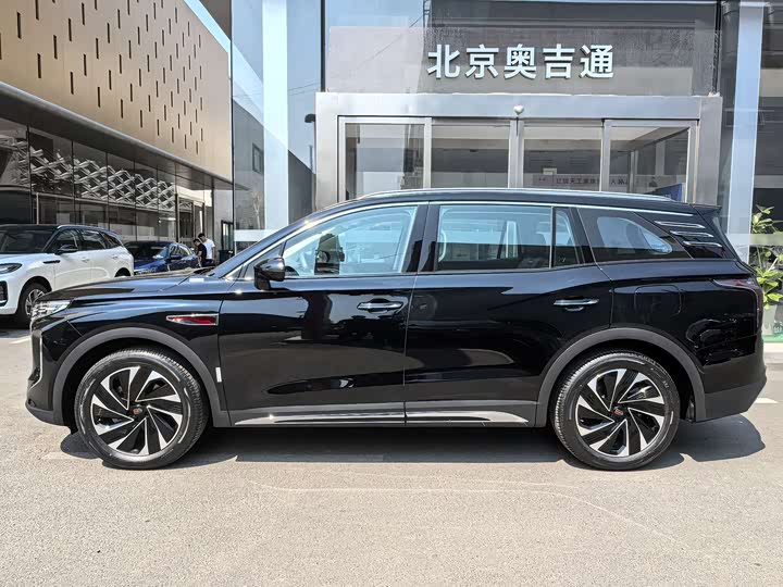 Фото 9 - Hongqi HS7 Hybrid