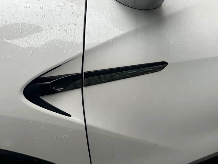 Фото 3 - HiPhi X