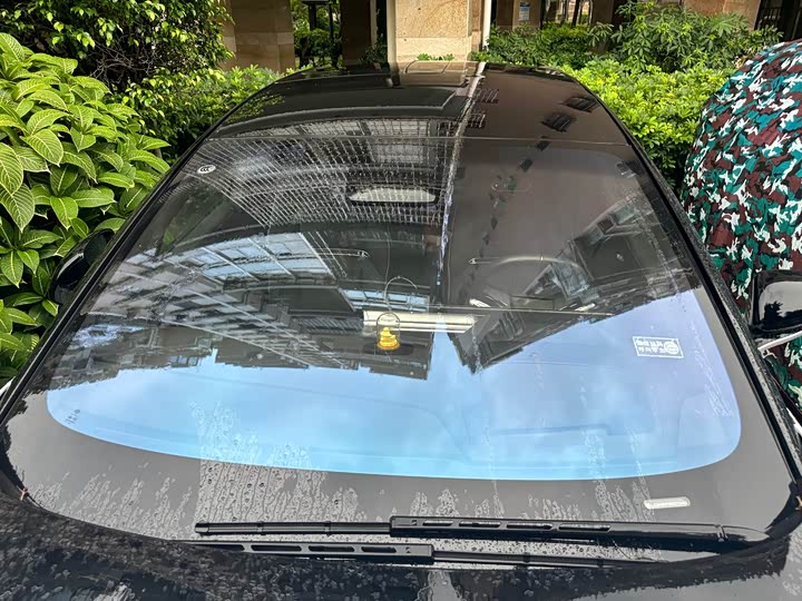 Фото 4 - HiPhi X