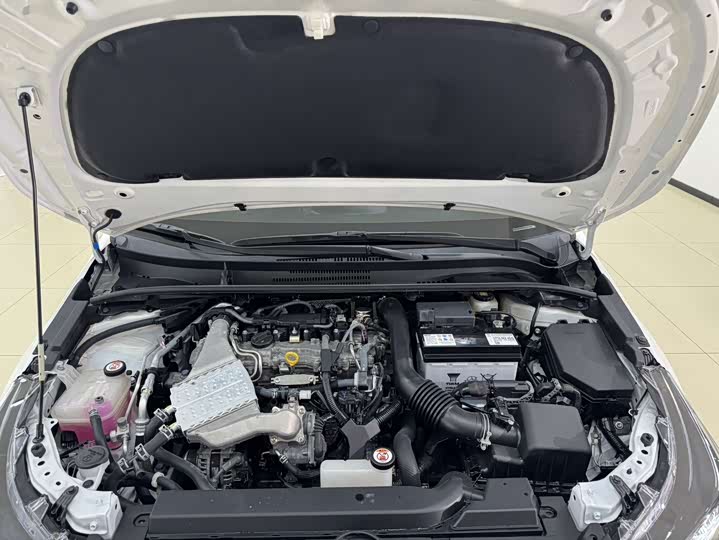 Фото 20 - Toyota Levin