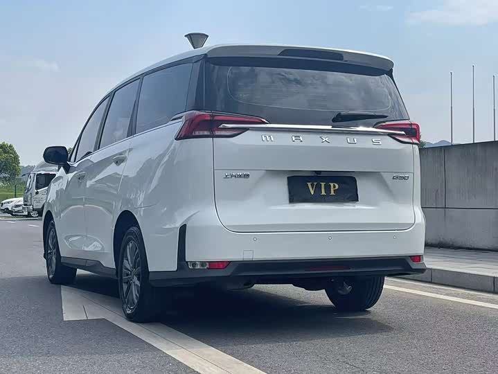 Фото 5 - Maxus G50