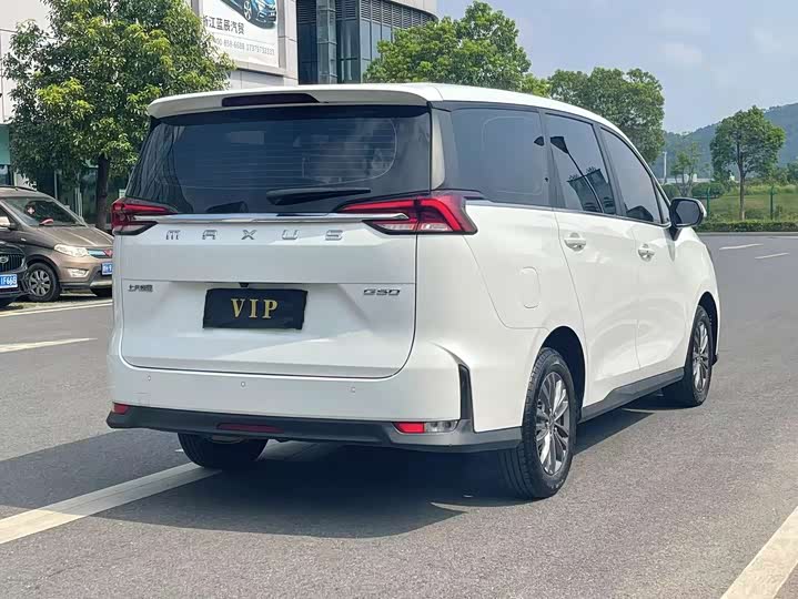 Фото 6 - Maxus G50