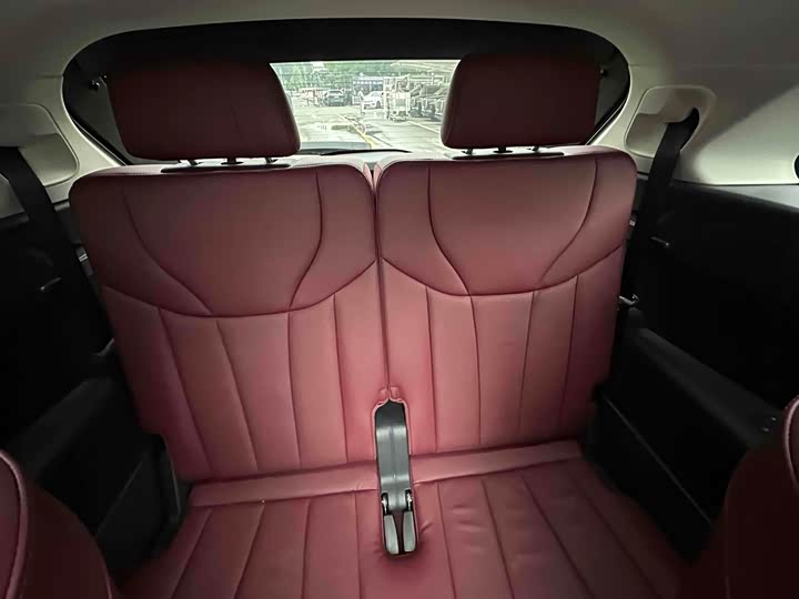 Фото 10 - Hongqi E-HS9