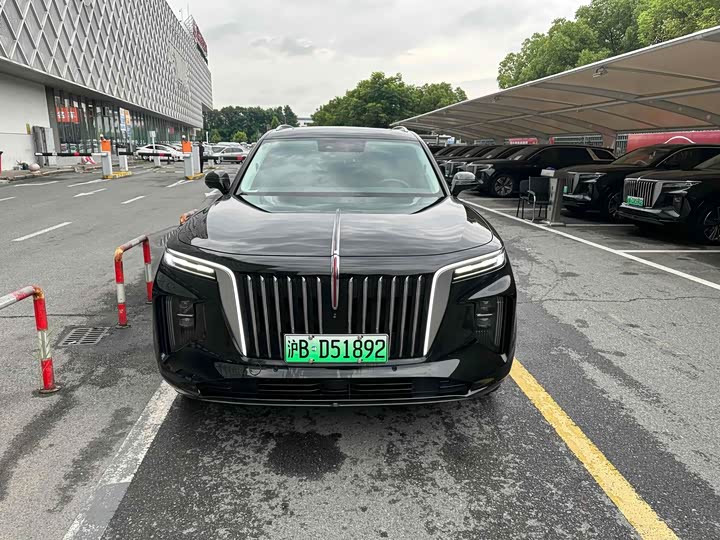 Фото 2 - Hongqi E-HS9