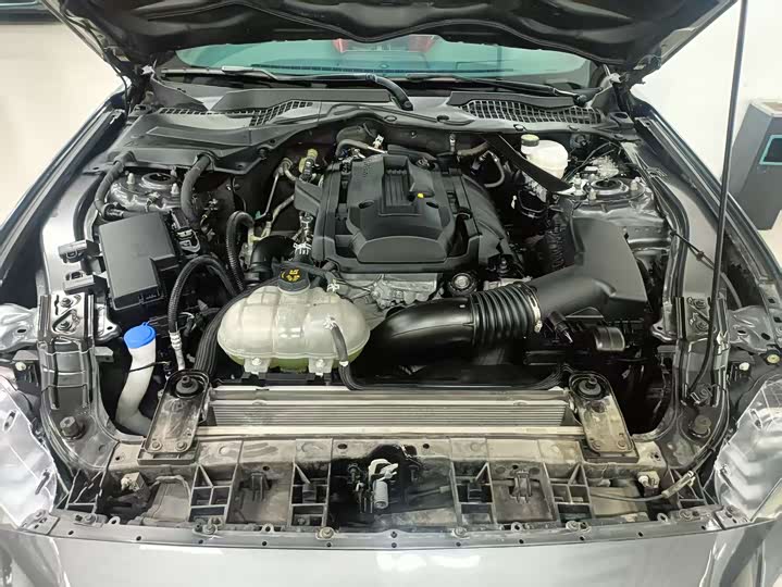 Фото 6 - Ford Mustang