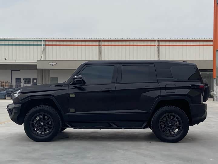 Фото 3 - Dongfeng Mengshi M-Hero 917