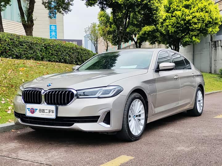 Фото 1 - BMW 5 Series Hybrid