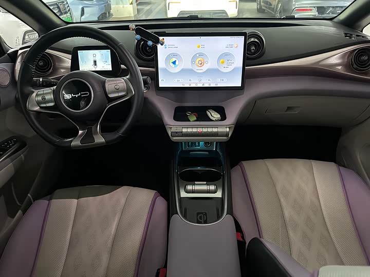 Фото 13 - BYD Dolphin