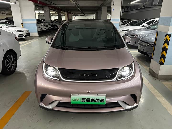 Фото 2 - BYD Dolphin