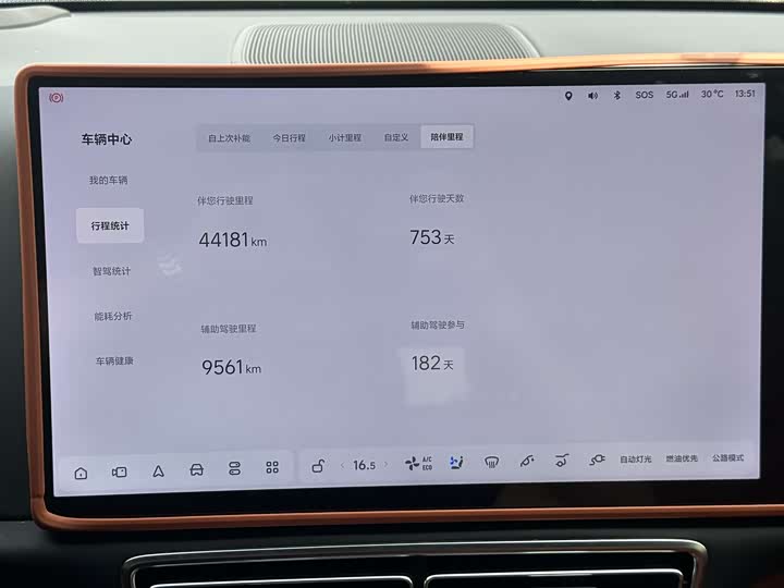 Фото 26 - LiXiang L7