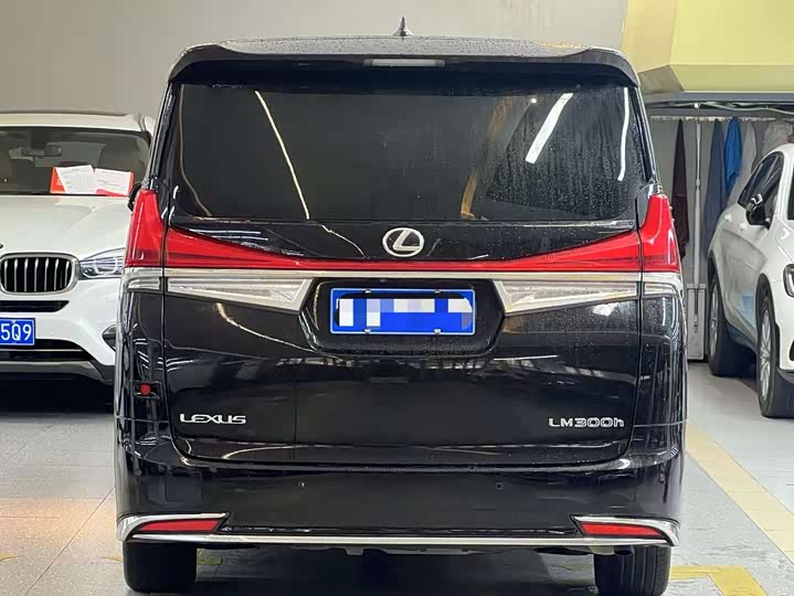 Фото 12 - Lexus LM