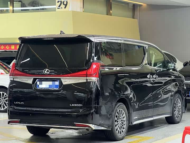 Фото 13 - Lexus LM