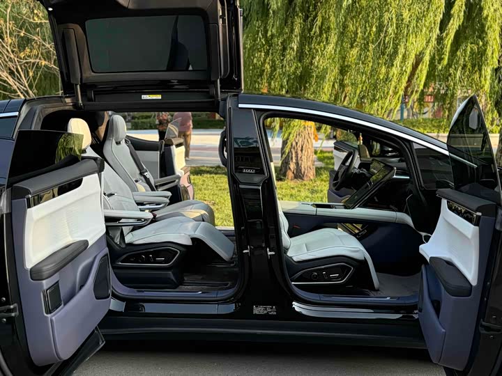 Фото 4 - HiPhi X