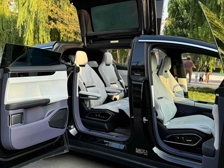 Фото 5 - HiPhi X