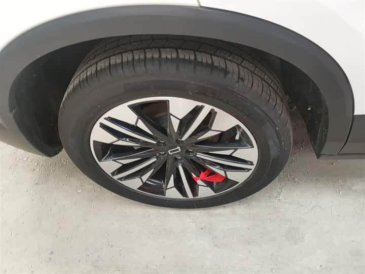 Фото 30 - Bestune T77