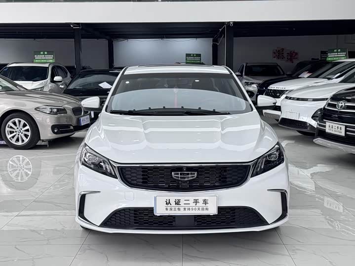 Фото 2 - Geely Binrui