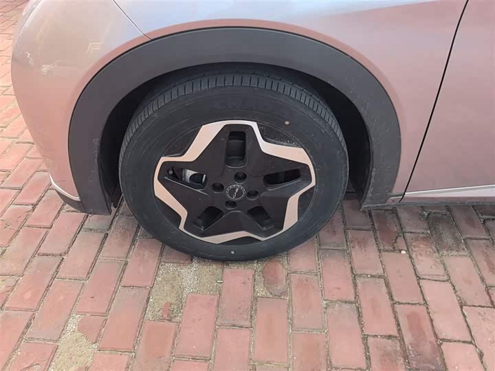 Фото 13 - BYD Dolphin