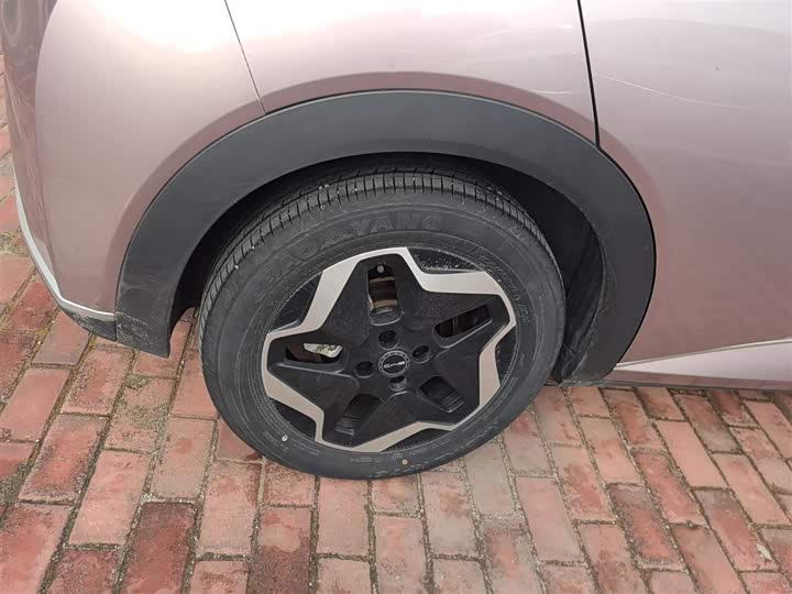 Фото 14 - BYD Dolphin