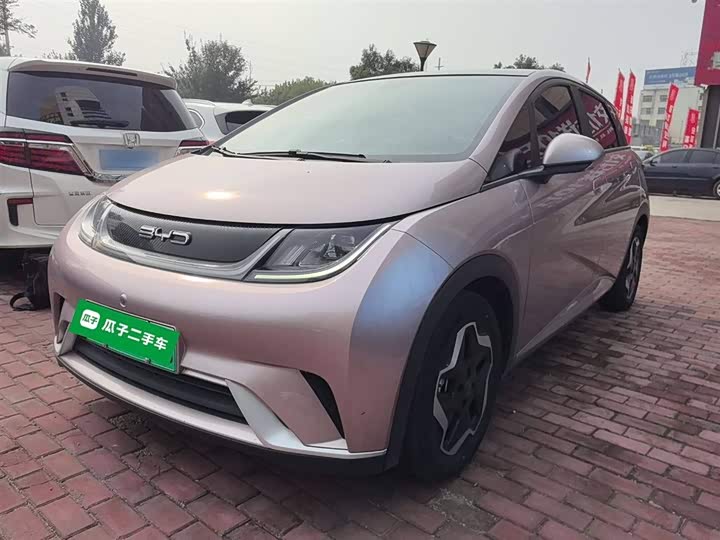 Фото 3 - BYD Dolphin