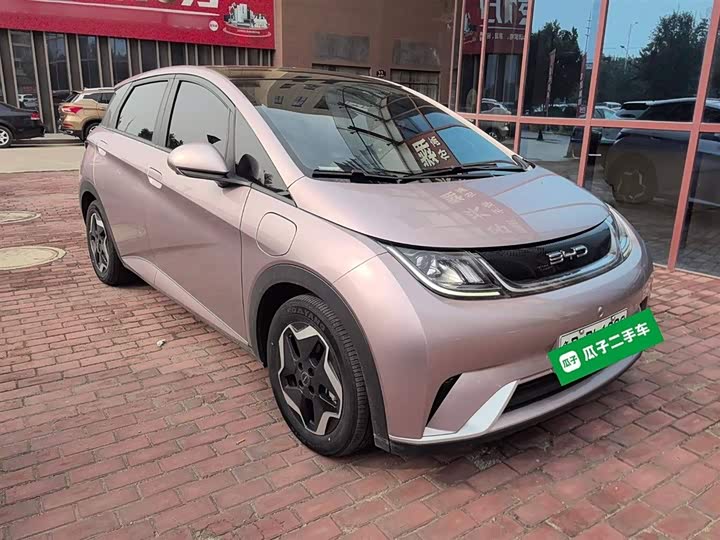 Фото 8 - BYD Dolphin