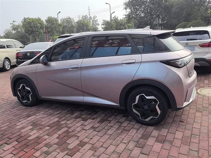 Фото 9 - BYD Dolphin