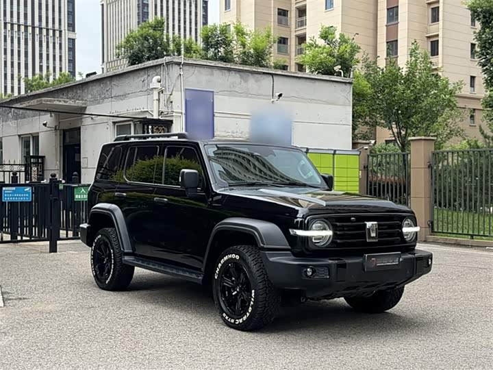 Фото 4 - Tank 300