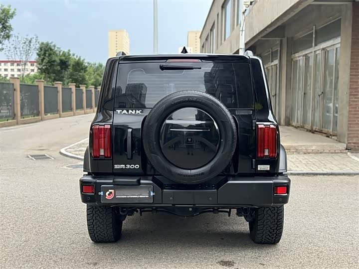 Фото 6 - Tank 300