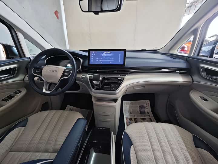 Фото 12 - Roewe iMax 8