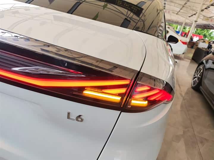 Фото 8 - Geely Galaxy L6