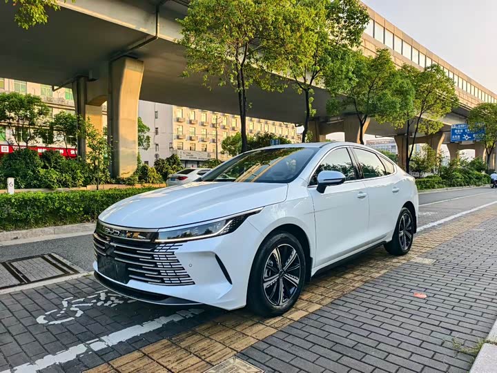 Фото 2 - BYD Destroyer 05