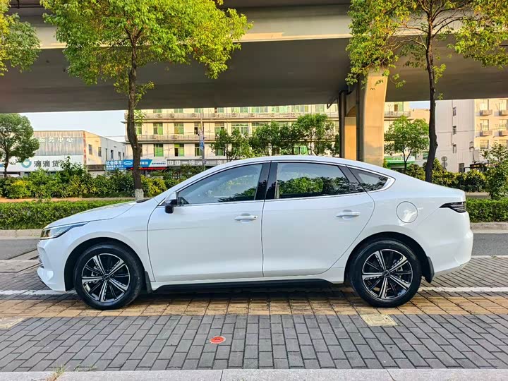 Фото 3 - BYD Destroyer 05