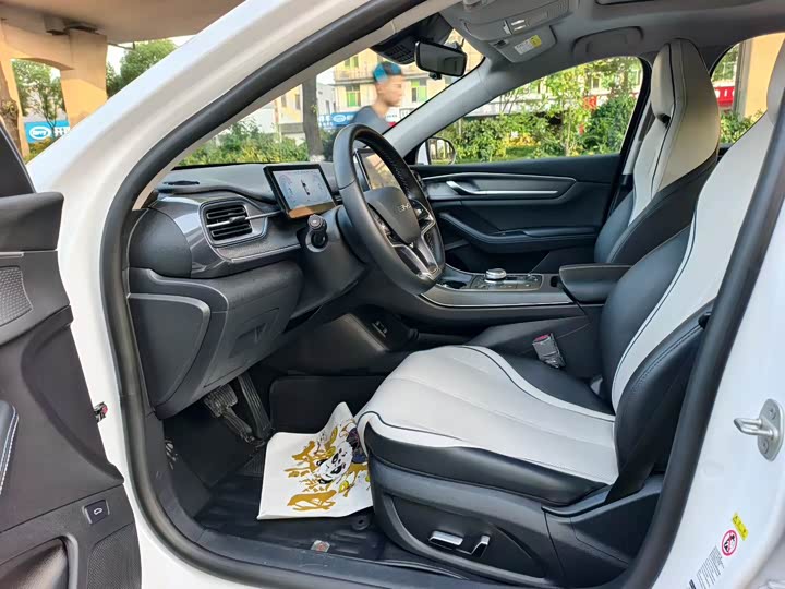 Фото 6 - BYD Destroyer 05