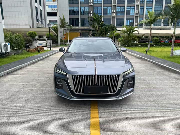 Фото 2 - Hongqi H5