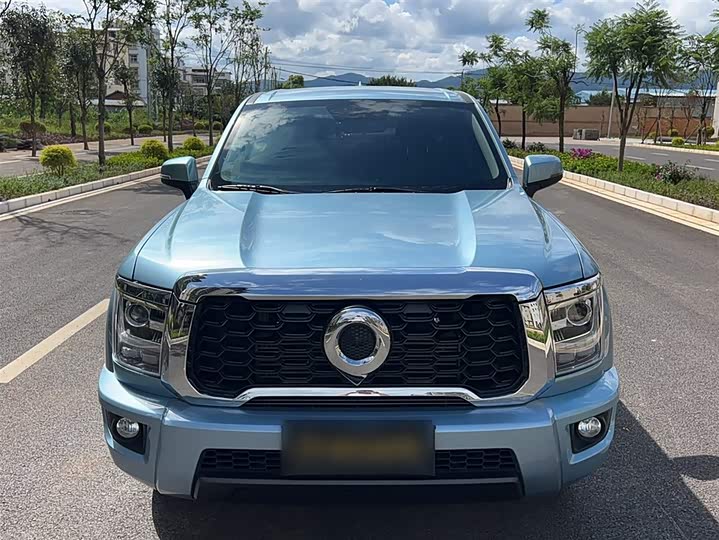 Фото 8 - Great Wall King Kong Poer