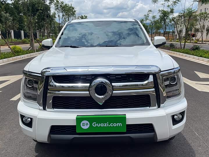 Фото 10 - Great Wall King Kong Poer