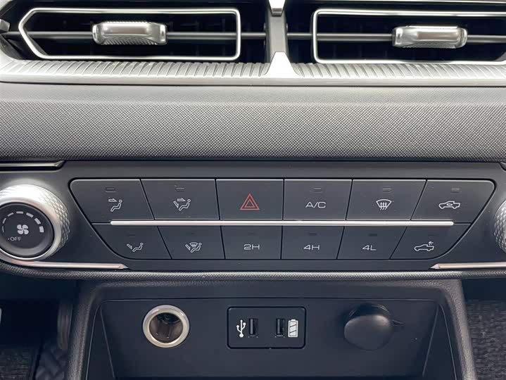 Фото 4 - Great Wall King Kong Poer