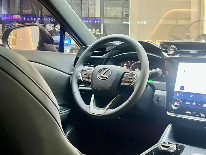 Фото 12 - Lexus RZ