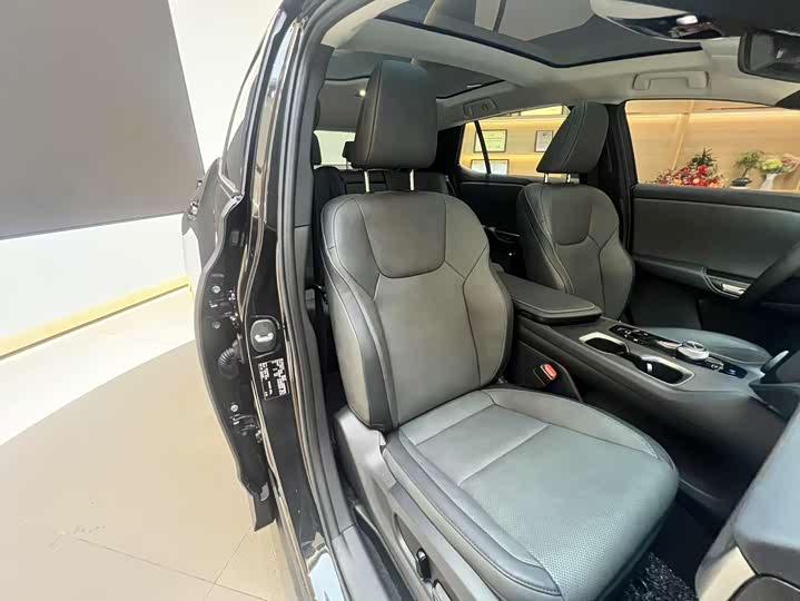 Фото 6 - Lexus RZ